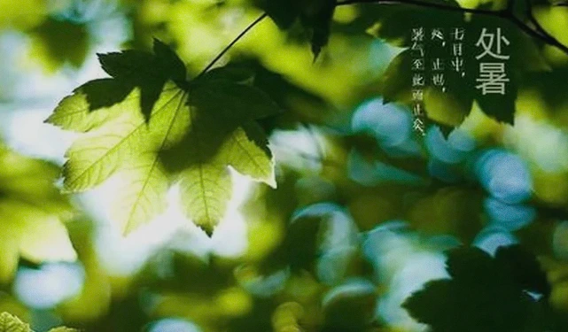 30条励志：自律即自由，坚持定成功